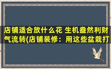 店铺适合放什么花 生机盎然利财气流转(店铺装修：用这些盆栽打造生机盎然的利财气场)